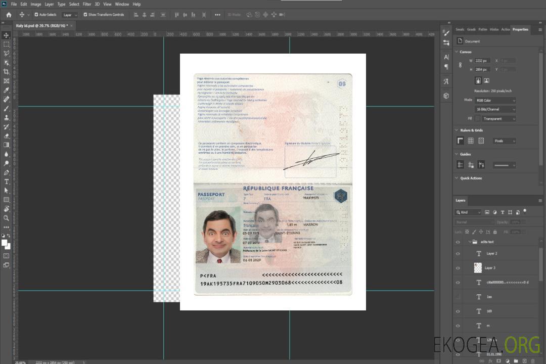 Passeport français 2019-présent template Passeport français 2019-présent template